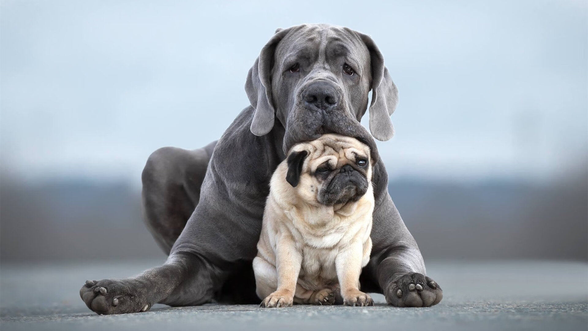 _超级运动酷跑：炫酷装备引领潮流_，超级酷跑!