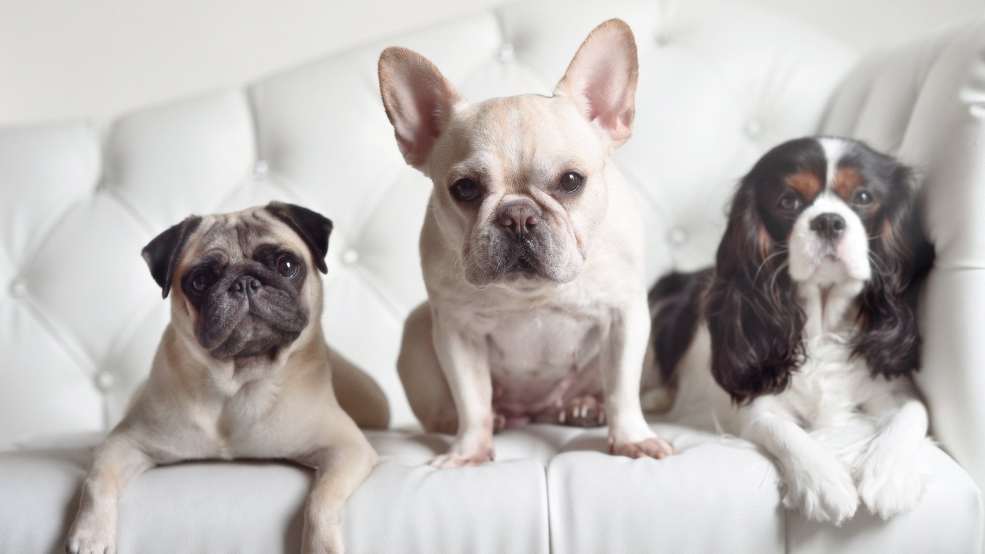 KAIYUN 中国大陆-_联盟焦点：焦点对决绿军vs骑士_，绿军对战