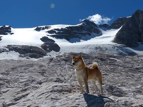 《电竞“潜规则”揭秘：行业内鲜为人知的内幕》，细说电竞
