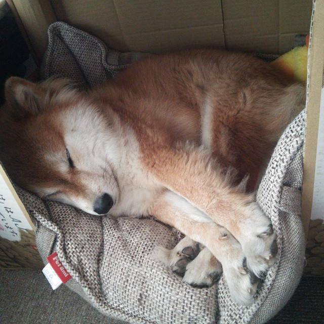 台球运动在海外的推广现状,台球国外