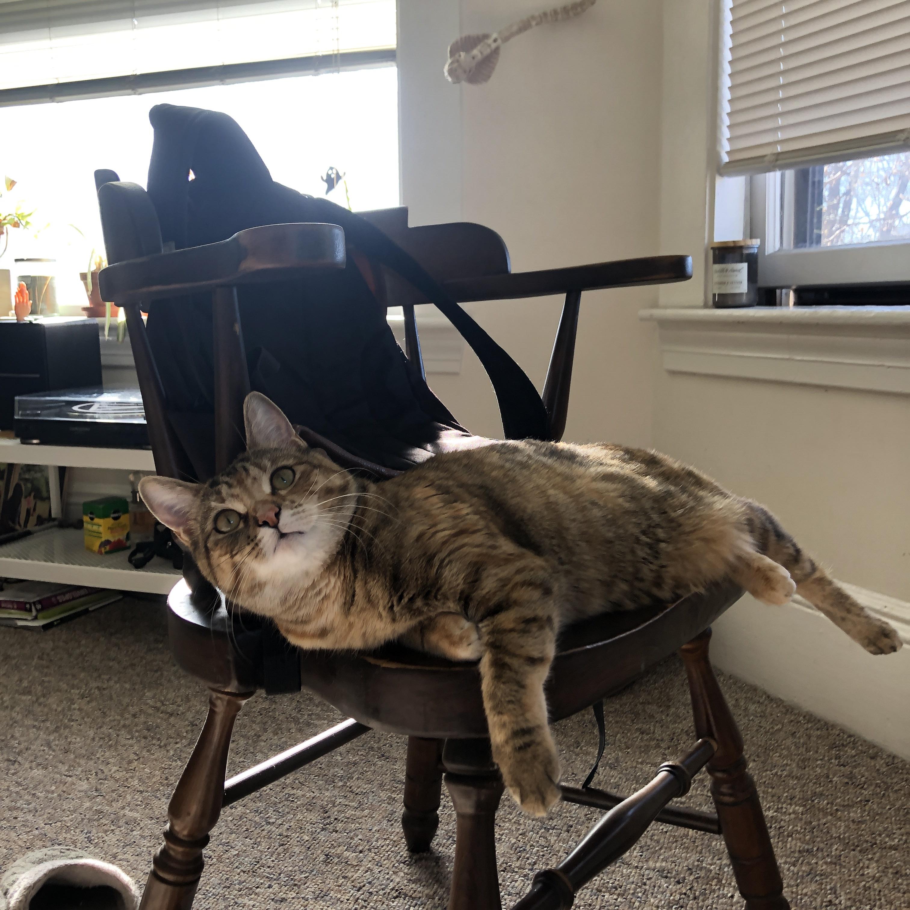 kaiyun登录入口-媒体评论：欧冠比赛中最具争议的判罚，欧冠犯规