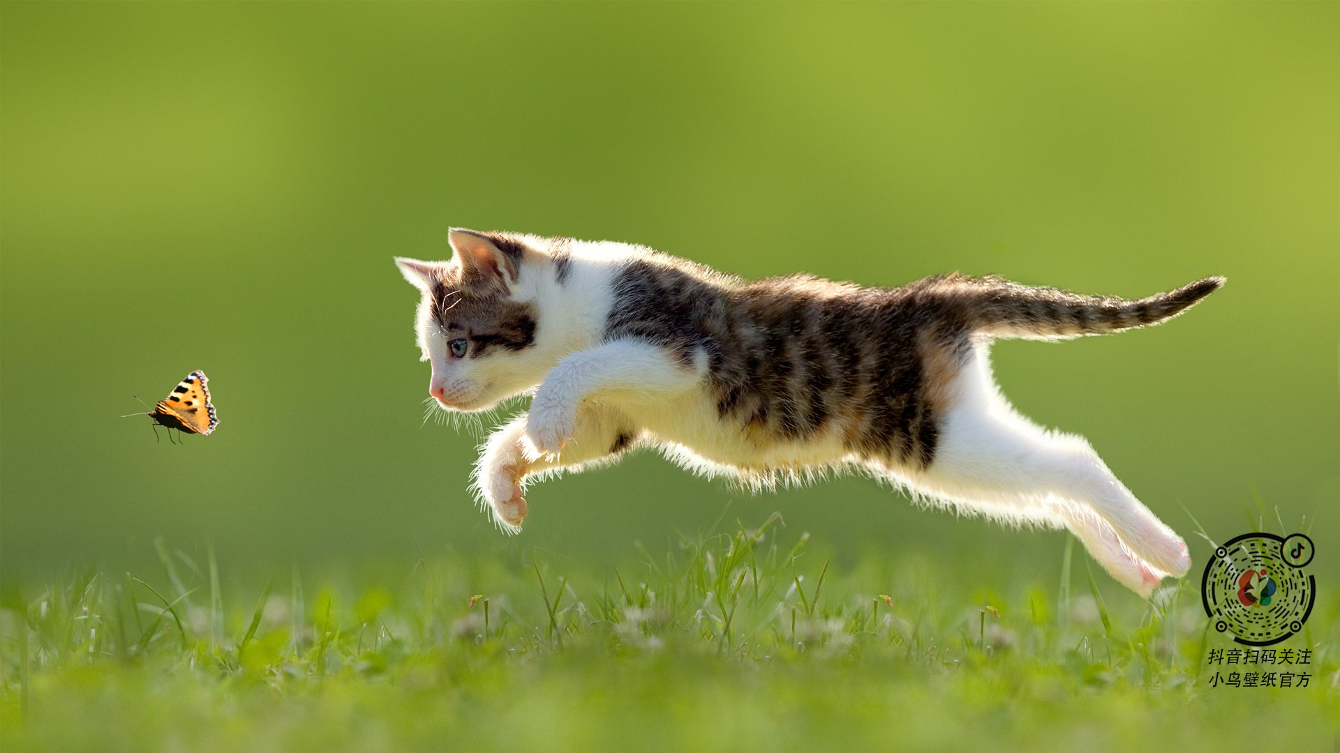 运动员公益：用行动点亮更多希望，关于运动公益用语