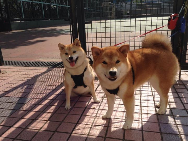 青训“工厂”+“孵化器”模式在行业内点燃创新火花，孵化器培训活动策划