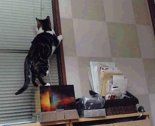 kaiyun中国官方网站-KPL明星选手状态火热，kpl明星阵容