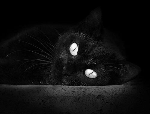 开云·体育官网APP下载-切尔西女足进攻火力强劲，切尔西女足欧冠