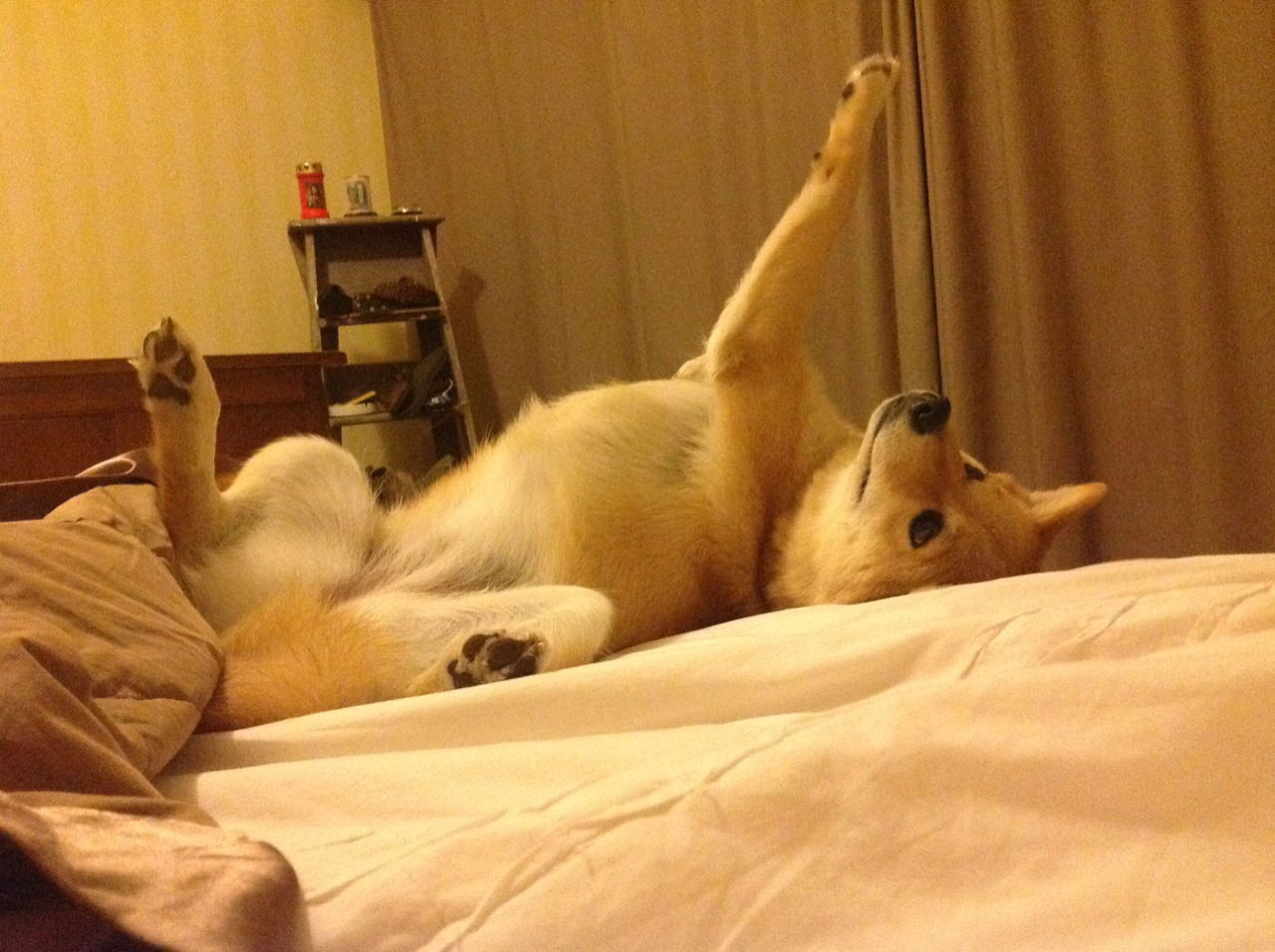 德国女子公路赛选手在比赛中获得第十二名,德国女短跑