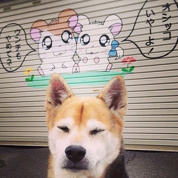 是否应设立球员职业道德评定系统,球员具备什么条件