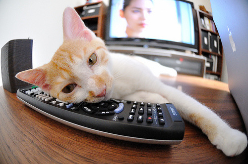 激烈角逐拉开帷幕,亚冠比赛全面展开,亚冠 赛场