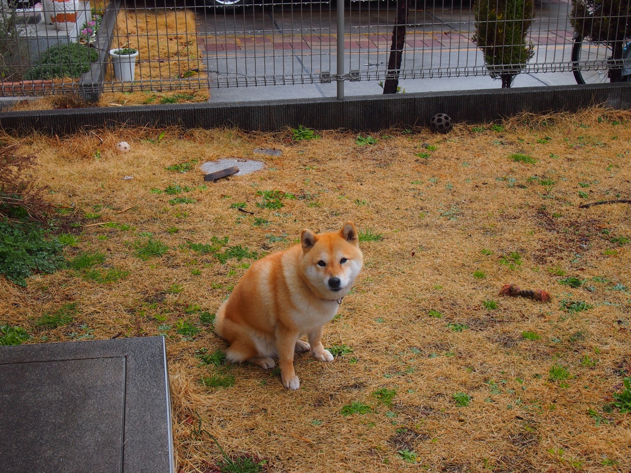 高密度区域传球成功率是否可预测控球优势