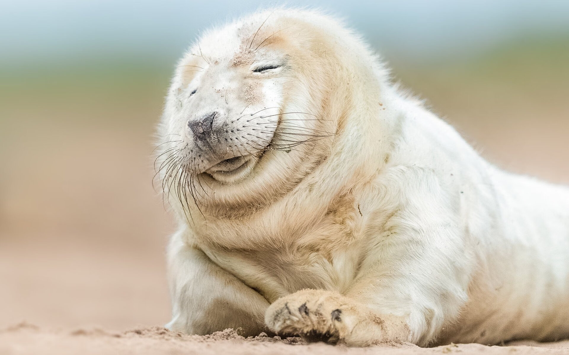 2024年埃及队表现：逐步向国际乒乓强队靠拢，埃及乒乓球厉害吗