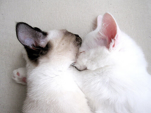 开云官网-中超联赛国足战平 球迷理性看待比赛，中超国足比赛时间