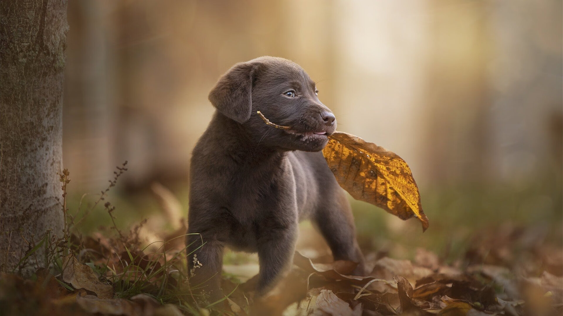 kaiyun登录入口-国家体育总局发布体育场馆绿色建筑评价细则征求意见稿，体育场馆标准化体系