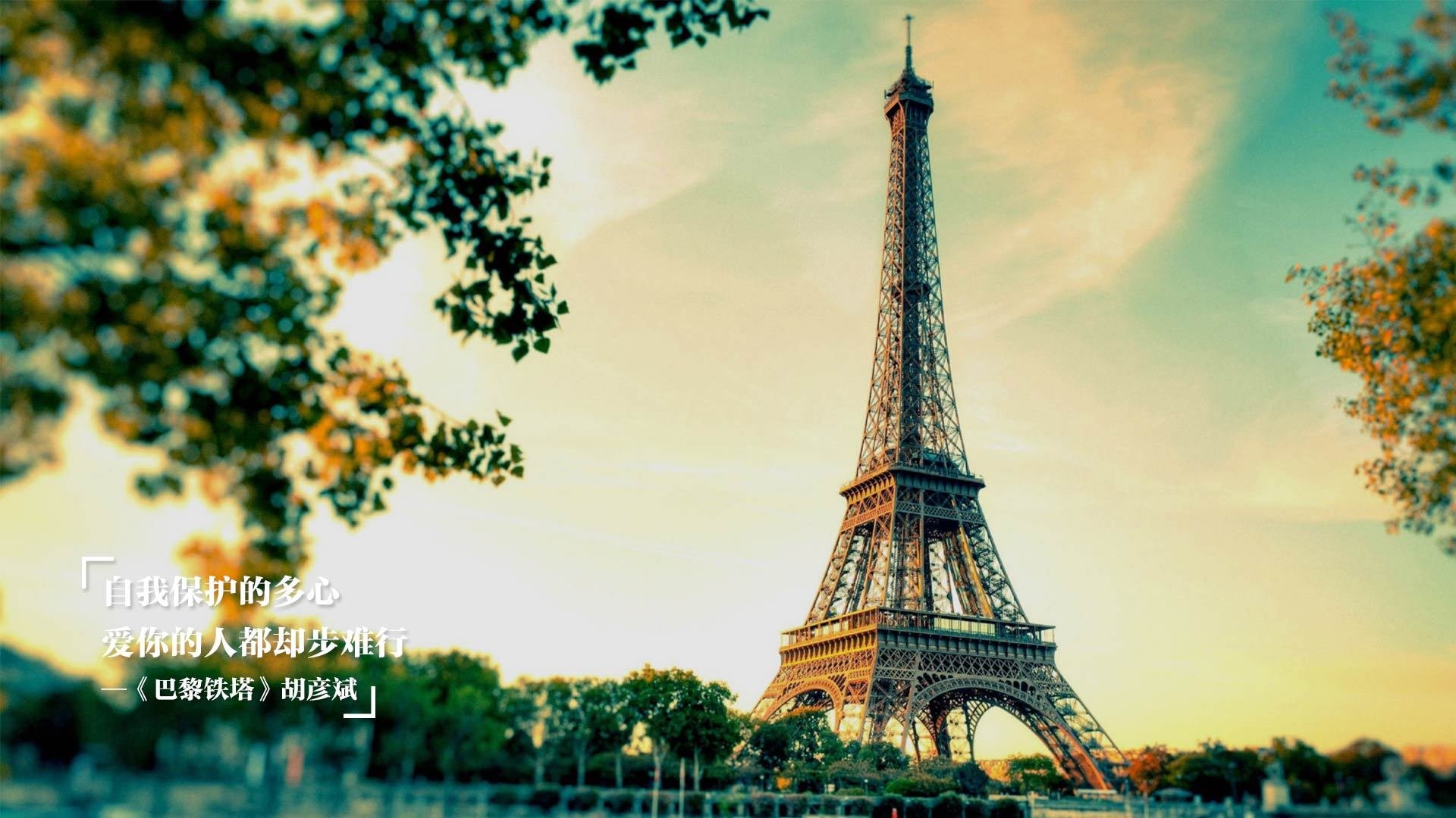 在阿拉伯国家举办的国际足球比赛成为焦点，展现区域足球发展，阿拉伯足球运动员