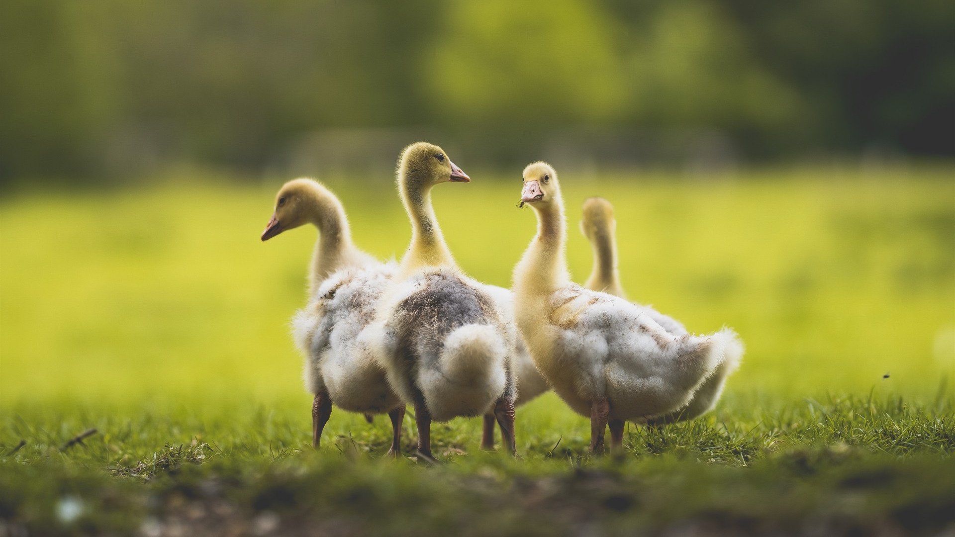 开云官网-新闻中心发布高校体育科研项目立项名单，高校体育课题题目