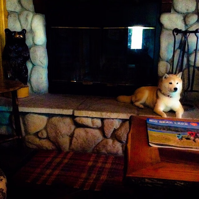 kaiyun开云·官方网站-预备队比赛升级，培养未来核心力量，预备队的作用