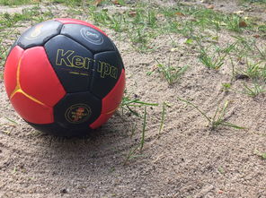 开云体育官网-英超球队基于运动表现数据调整赛中体能分配策略，英超球队规则