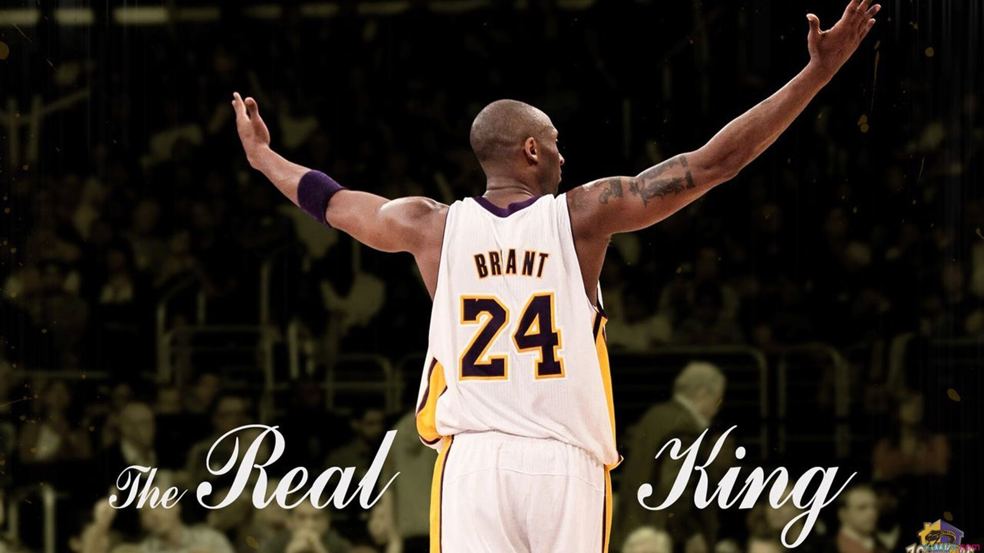 开云体育下载-“SHO-CHAN Run 2025：跑者狂热，香港再掀赛事高潮”